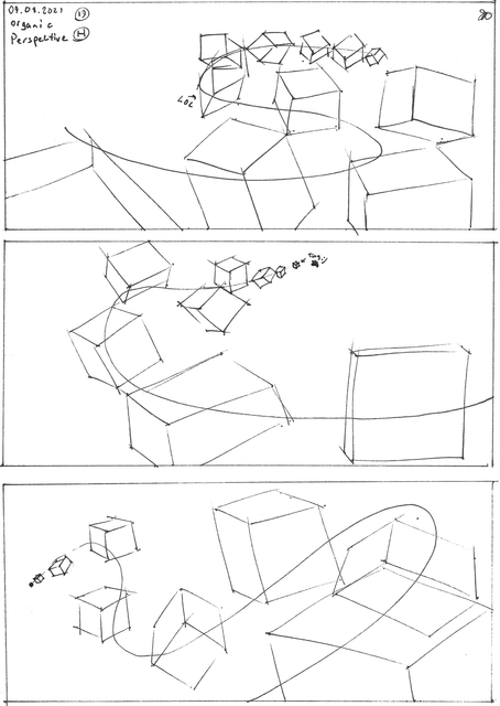 19H-Organic Perspective.png