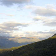 DSC7122