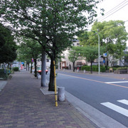 2011-04-30-161