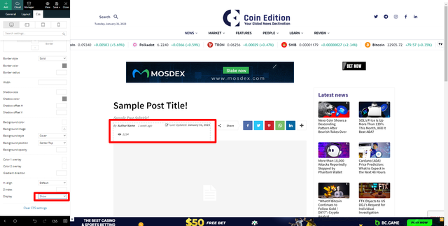 Edit-Post-Single-Template-Pulses-PRO-Coin-Edition-Word-Press-Desktop-Showing