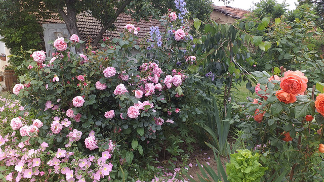 20190604-082225
