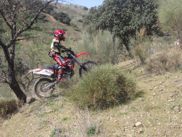 DSCF7548.jpg