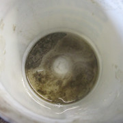 IMG-5918