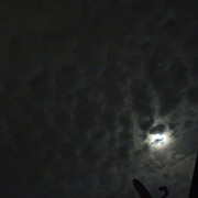 Pmoon-016