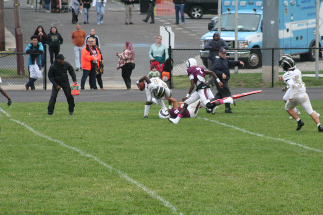 IMG-8375.jpg
