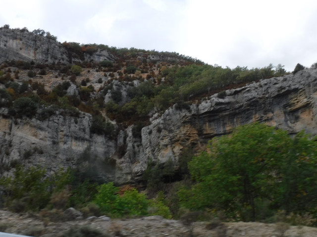 DSCF6300
