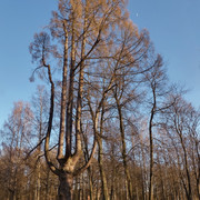 DSCF2125a