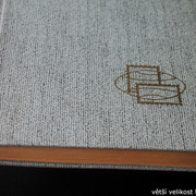 IMG-3516
