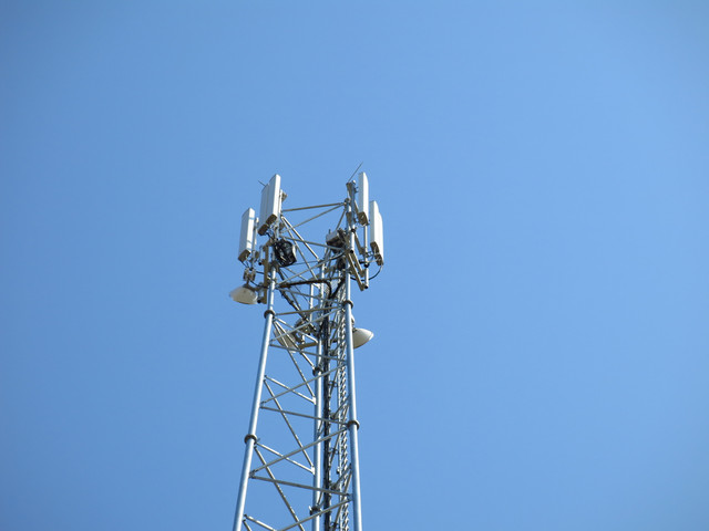 IMG-0422