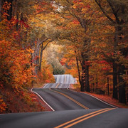 Fall-in-USA