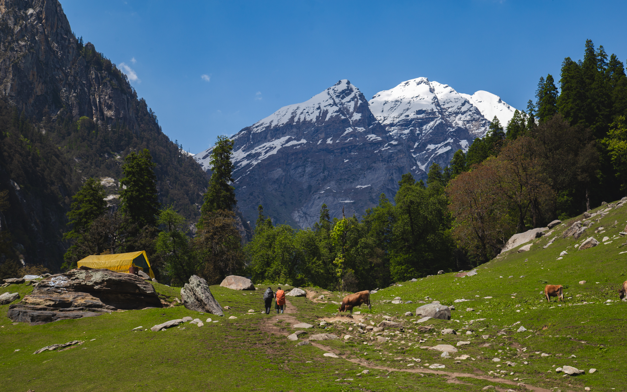 IMG-9522-1.jpg