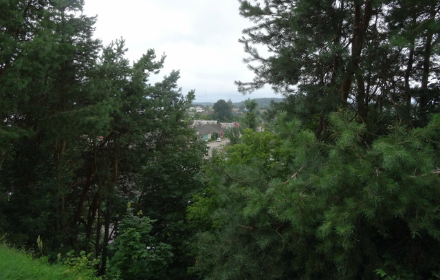 DSC01533 5