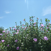 P1330920