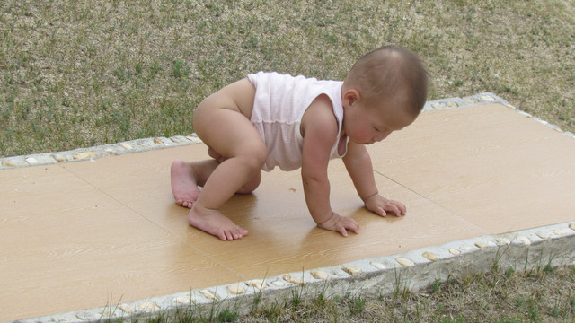 IMG 0553.jpg