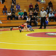 IMG-0311