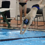 IMG-0118