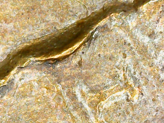 Is-This-A-Mint-Damaged-1908-IHC.-Looks-Double-Struck-To-Me.