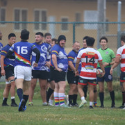 IMG-9319