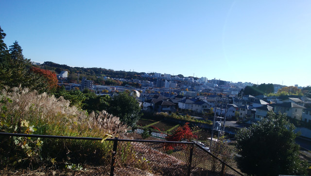 IMG-20221121-143306.jpg