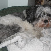Maggie5