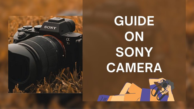 A Comprehensive Guide To Sony Cameras