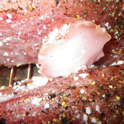 IMGP0035