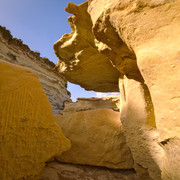 OLYMPUS-DIGITAL-CAMERA