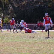IMG-1271