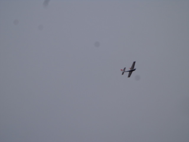 DSC03808.jpg