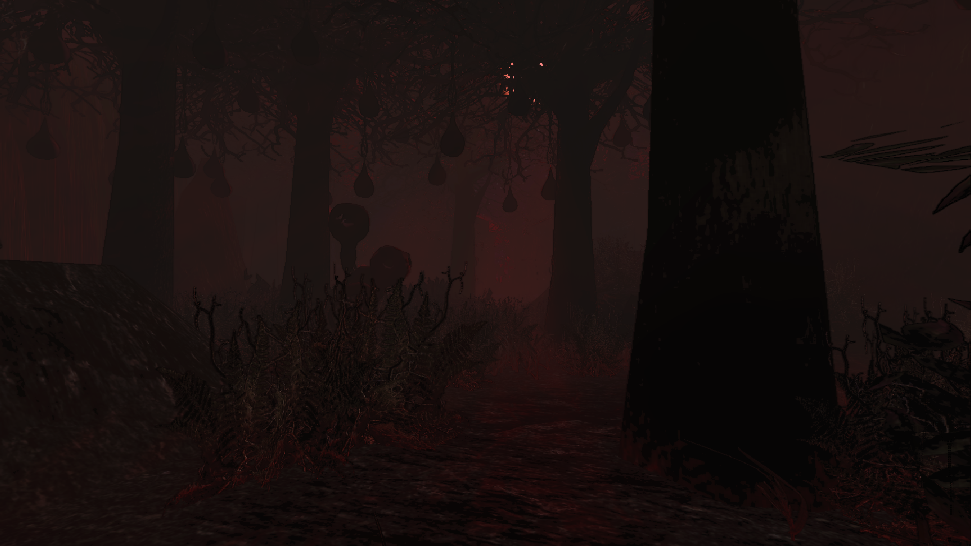 Surface of Desolation