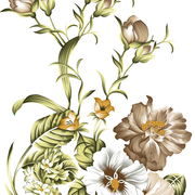 shutterstock-1437928382.png