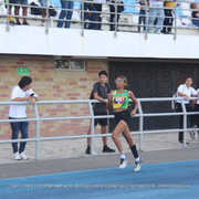 IMG 0315
