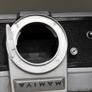 IMG-1646
