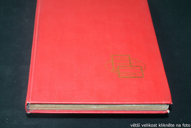 IMG-3582.jpg