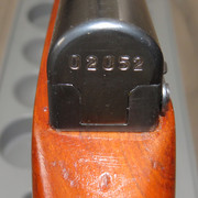 IMG-0799