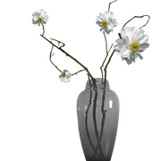 09