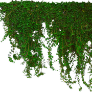 n0S4t4t