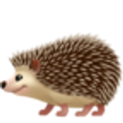 hedgehog-1f994