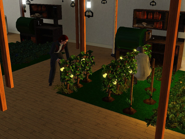 Screenshot-252