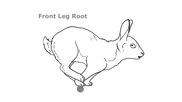Root-Rabbit