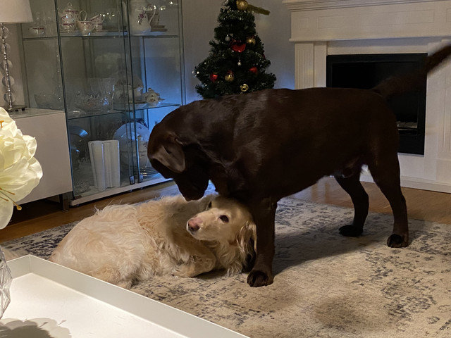 B7-C641-CA-C0-B8-40-C2-937-E-E29-C787-BF