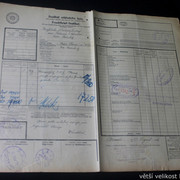 IMG-4914