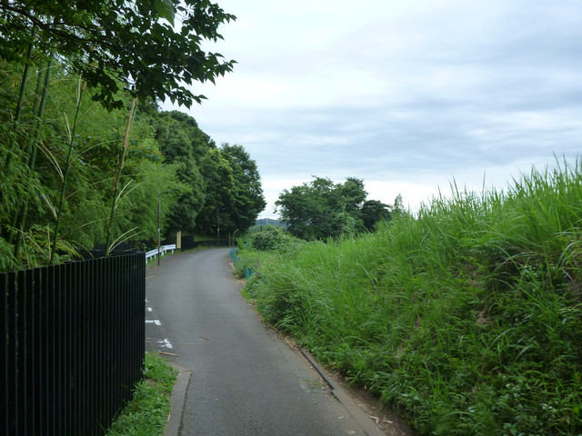 P1320278