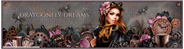 header.png