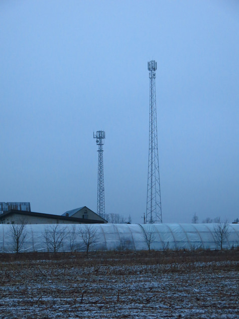 IMG-2341