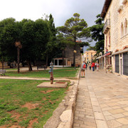 IMG-9730