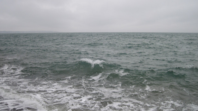 IMG-2242
