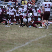 IMG-7233