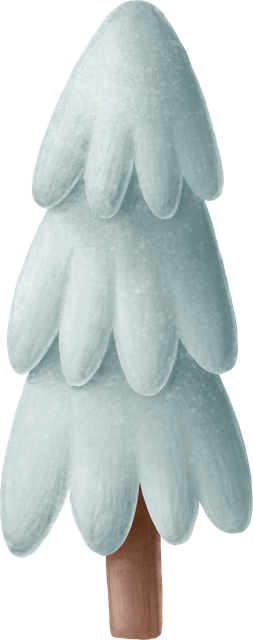 White-fir-2