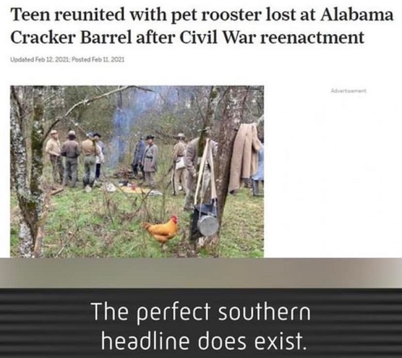 bama12.jpg